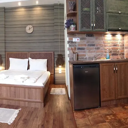 Guest Maria Luiza וארנה