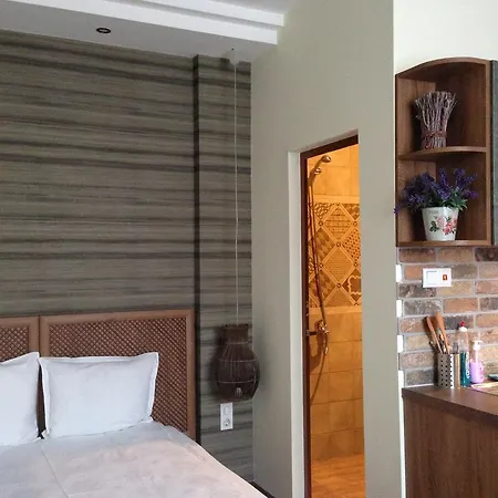 בית הארחה Guest Maria Luiza וארנה