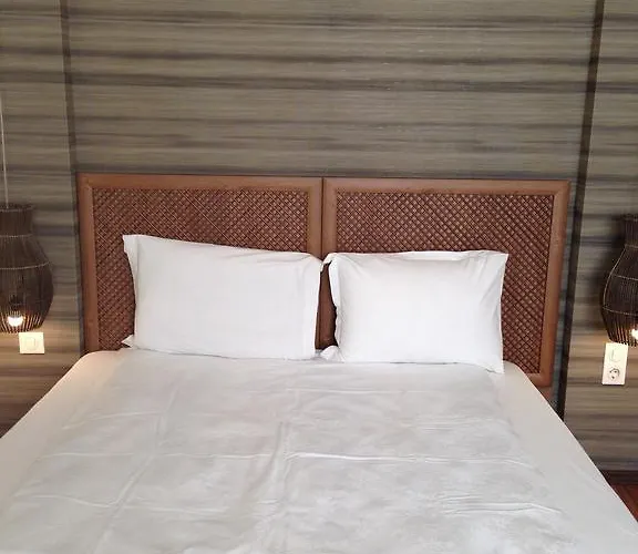 Pensionat Guest Maria Luiza 3*